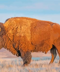 Wildlife Bison paint by numbers