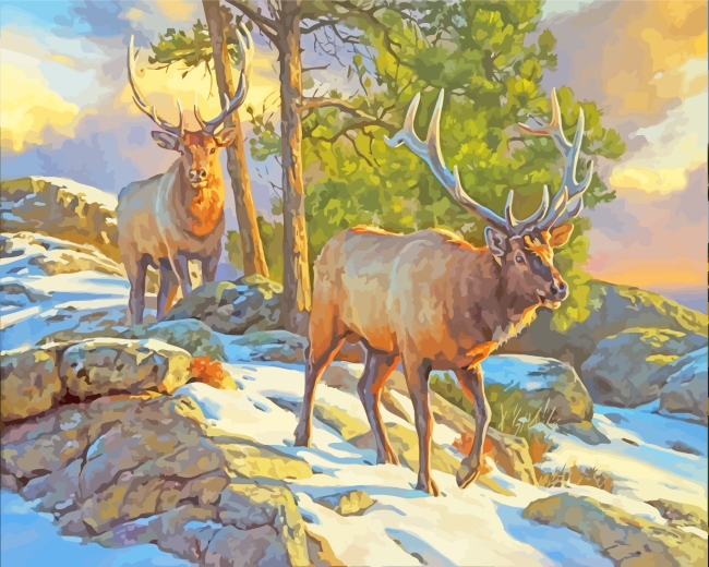Wildlife Deer paint by numbers