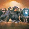 Wise Monkeys Art paint by numbers