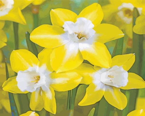Yellow Daffodil paint by numbers