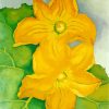 Yellow Flower Georgia O'Keeffe paint by numbers