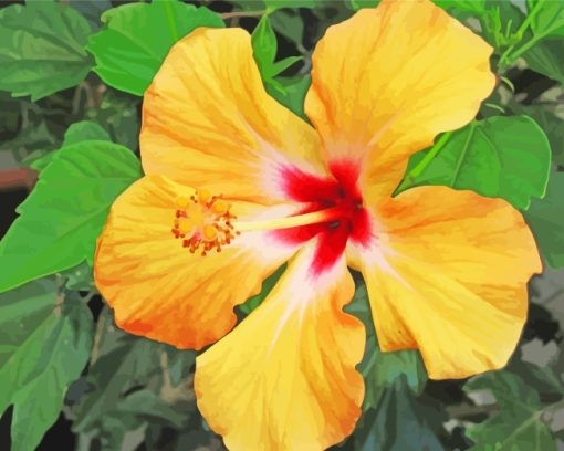 Yellow Hibiscus paint by numbers