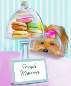 Yorkie Dog And Macarons paint by numbers