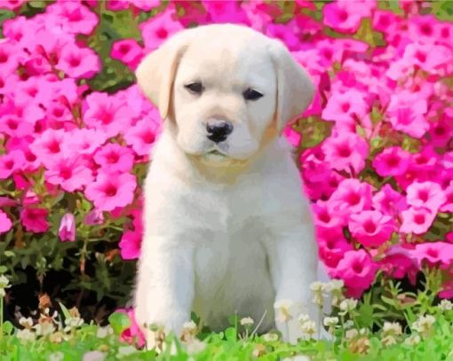 Labrador With Pink flowers paint by numbers