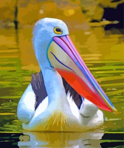Aesthetic Pelican Water Bird paint by numbers