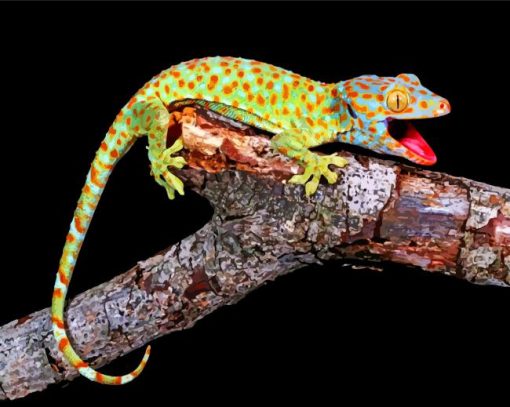 Aesthetic Gecko paint by numbers
