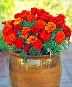 Aesthetic Marigolds Flowers paint by numbers