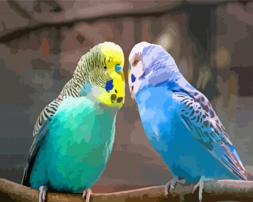 Aesthetic Two Parakeet Birds paint by numbers