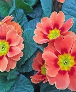 aesthetic-pink-primroses-paint-by-numbers