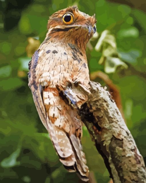 aesthetic-potoo-bird-paint-by-numbers