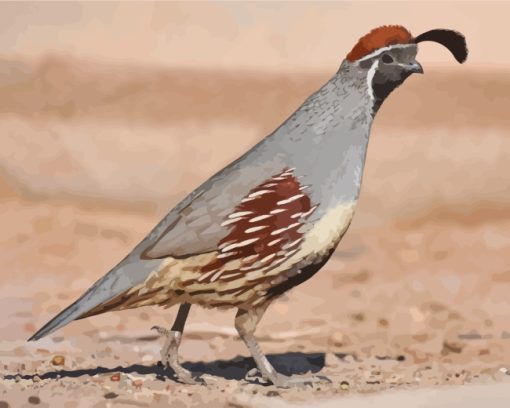 aesthetic-quail-bird-paint-by-numbers