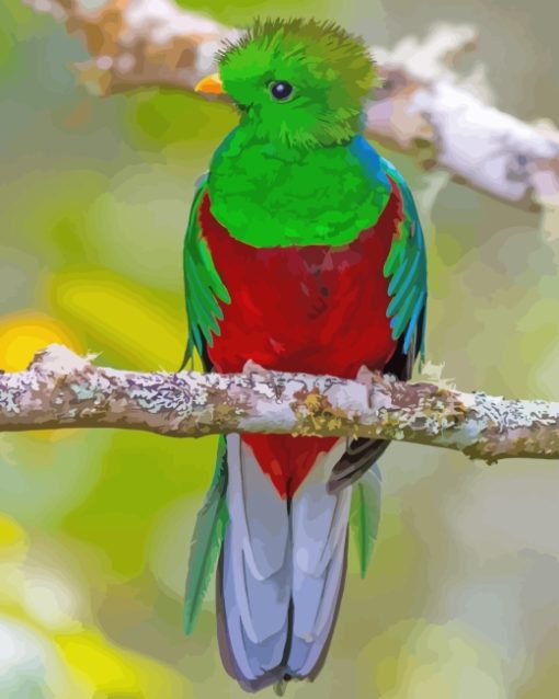 aesthetic-quetzal-paint-by-numbers