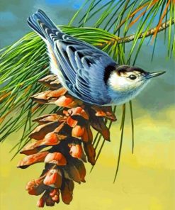 Agrey Nuthatch paint by numbers