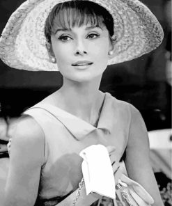 Audrey Hepburn Black And White paint by numbers