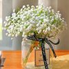 Babys Breath In Jar paint by numbers