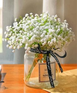 Babys Breath In Jar paint by numbers