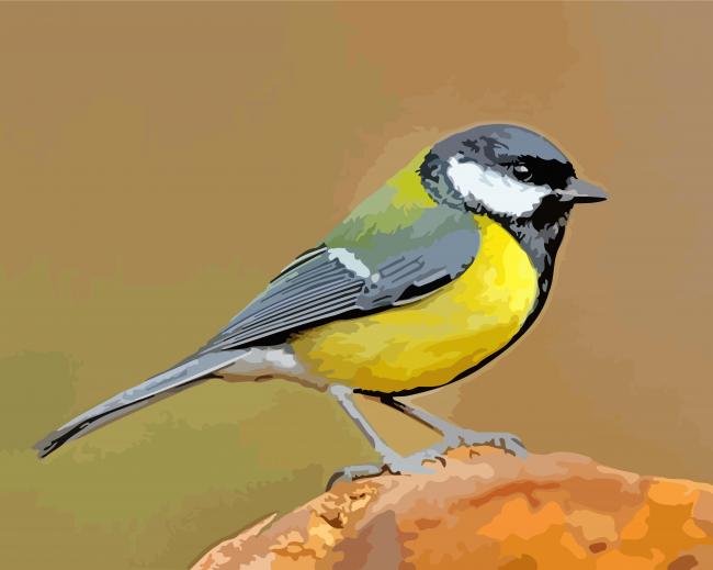 Black And Yellow Parus Birds paint by numbers