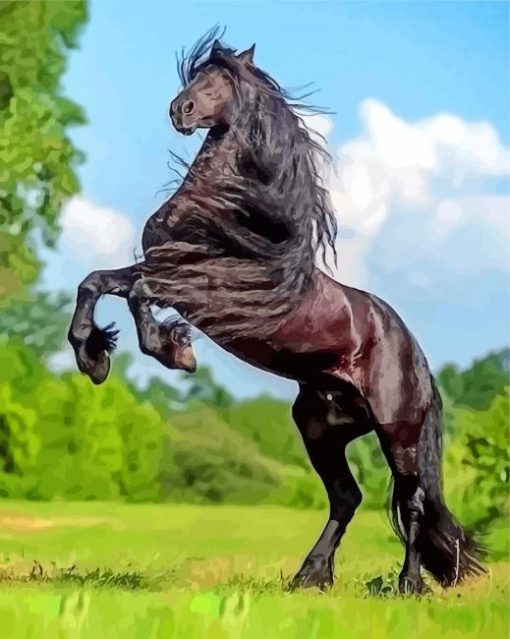 Black Friesian Horse paint by numbers