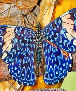 Blue Lepidoptera paint by numbers