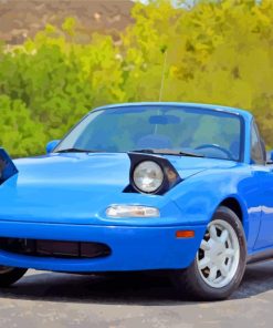 Blue Miata paint by numbers