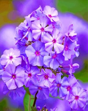 Phlox Paniculata Blue Flower paint by numbers