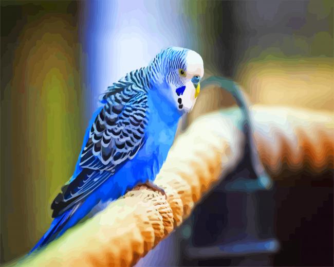 Blue Parakeet paint by numbers