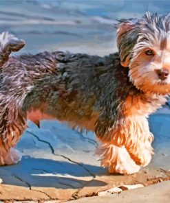 Brown Morkie Puppy paint by numbers