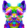 Colorful Morkie Dog paint by numbers