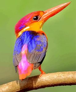 Colorful Kingfishers paint by numbers