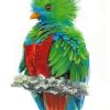 Colorful Quetzal Bird paint by numbers