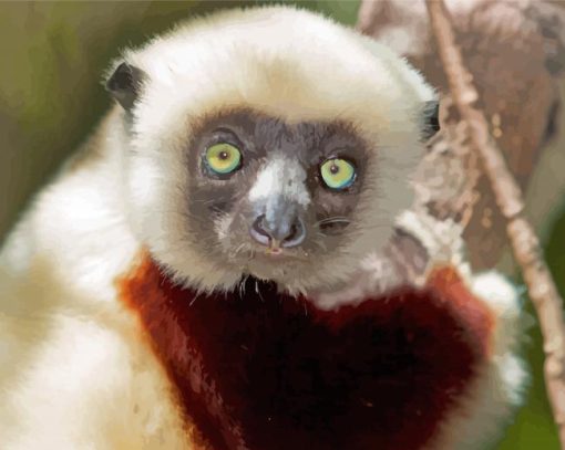 Cute Lemur paint by numbers
