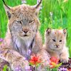 Cute Lynx paint by numbers
