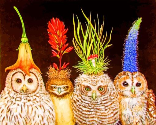 Cute Owls Birds paint by numbers