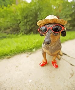 Dachshund With Sunglasses And A Hatpaint by numbers