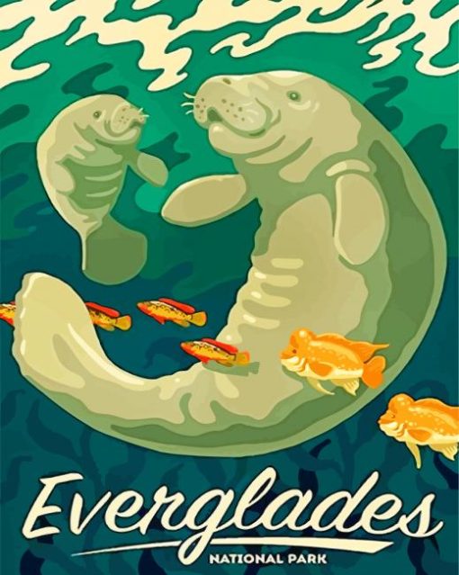 Manatee And Calf In Everglades National Park Florida-paint-by-numbers