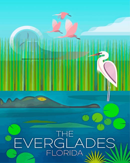 Animals In Everglades National Park Florida-paint-by-number