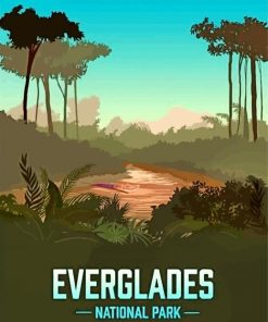 Everglades Florida National Park Illustration-paint-by-number