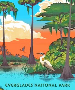 Birds In Everglades Florida National Park-paint-by-numbers