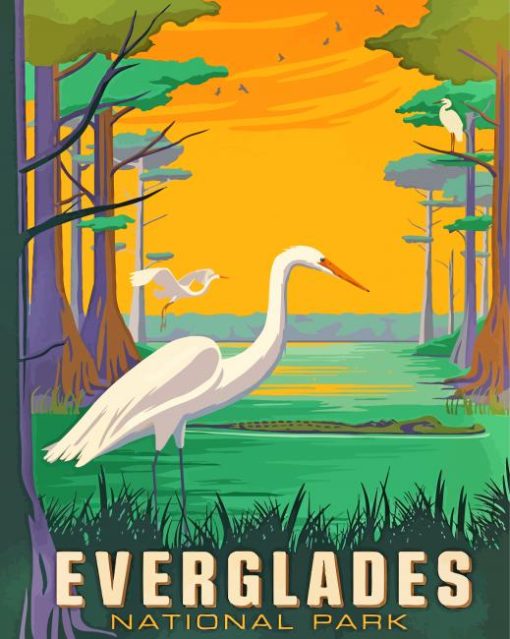 Birds In Everglades National Park Florida-paint-by-numbers