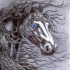 The Friesian Horse Head paint by numbers