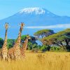 Giraffes Kilimanjaro paint by numbers