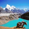 Gokyo Lakes paint by numbers