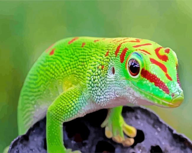 Green Gecko paint by numbers