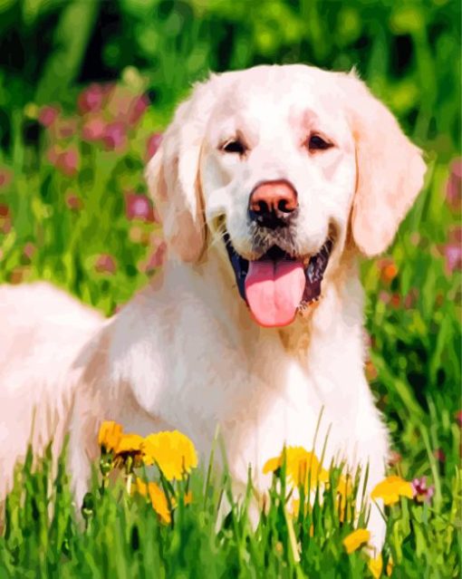 Happy Labrador Retriever In Garden paint by numbers