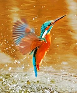 Kingfisher Flying Above The Water paint by numbers