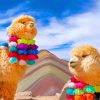 Llamas In Peru paint by numbers