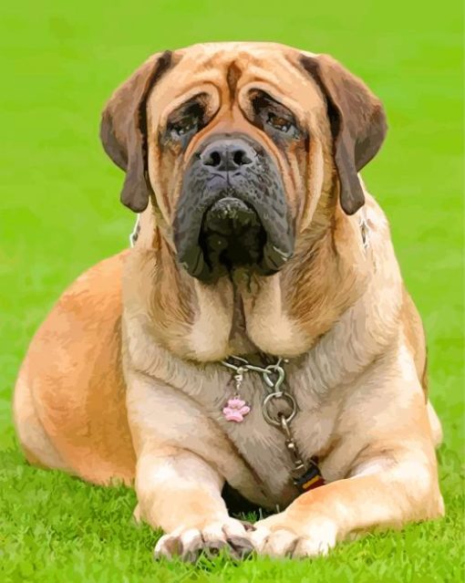 Lonely English Mastiff paint by numbers