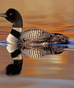 Loon In The Water paint by numbers