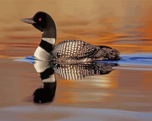 Loon In The Water paint by numbers