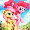 My Little Pony Fluttershy paint by numbers